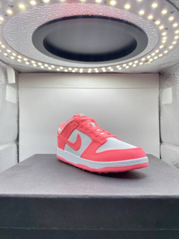 Nike Dunk Low φιγούρα